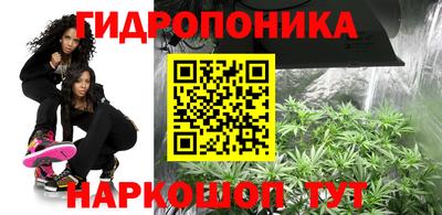 СК Жуковский